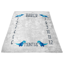 Baker 40x30 Sample