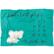 Sartaj Elephant Milestone Blanket