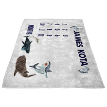 James Kota 60x50 Shark Milestone Blanket