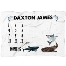 Daxton James Shark Milestone Blanket