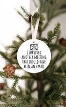 Survived meeting that should have been an email ornament