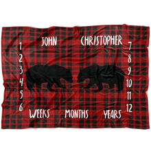 John Christopher twin bear blanket