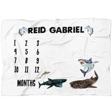 Reid Gabriel
